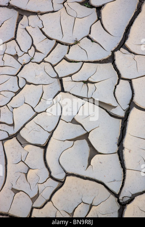 Essiccato incrinato il fango in un lavaggio, Anza-Borrego Desert State Park, California. Foto Stock