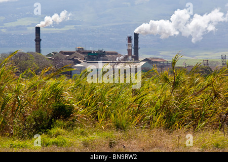 Lo zucchero nello stabilimento di trasformazione a Maui nelle Hawaii Foto Stock