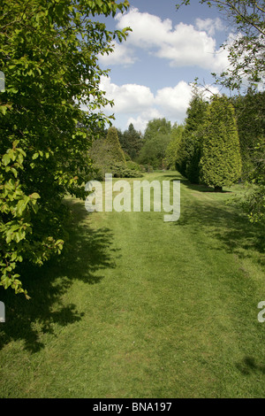 La Quinta Arboretum, Inghilterra. Vista la molla della Quinta Arboretum viali alberati. Foto Stock