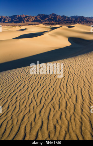 Alba sul piatto Mesquite dune di sabbia,parco nazionale della Valle della Morte Foto Stock