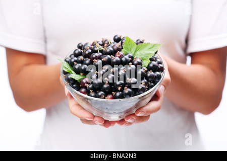 Stoviglie con ribes nero nelle mani della donna. Foto Stock