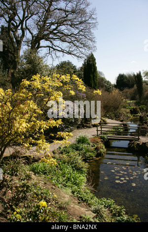 Arley Hall & Gardens, Inghilterra. La molla vista del giardino Rootree a Arley Hall Gardens. Foto Stock