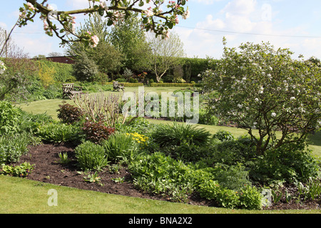 Bluebell Cottage Gardens, Inghilterra. Molla generale vista di Bluebell Cottage Gardens frontiere, arbusti e biancheria da letto. Foto Stock