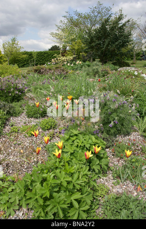 Bluebell Cottage Gardens, Inghilterra. Molla generale vista di Bluebell Cottage Gardens frontiere, arbusti e biancheria da letto. Foto Stock