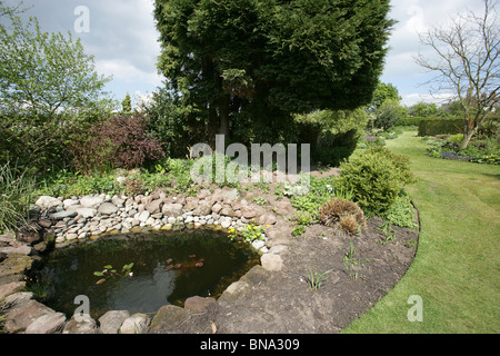 Bluebell Cottage Gardens, Inghilterra. Molla generale vista di Bluebell Cottage Gardens stagno, frontiere, arbusti e biancheria da letto. Foto Stock