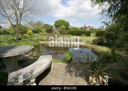 Bluebell Cottage Gardens, Inghilterra. Molla generale vista di Bluebell Cottage Gardens stagno, frontiere, arbusti e biancheria da letto. Foto Stock