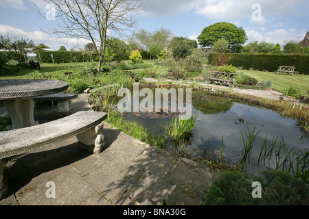 Bluebell Cottage Gardens, Inghilterra. Molla generale vista di Bluebell Cottage Gardens stagno, frontiere, arbusti e biancheria da letto. Foto Stock