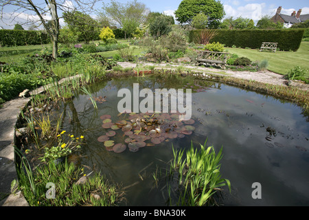 Bluebell Cottage Gardens, Inghilterra. Molla generale vista di Bluebell Cottage Gardens stagno, frontiere, arbusti e biancheria da letto. Foto Stock