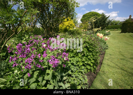 Bluebell Cottage Gardens, Inghilterra. Molla generale vista di Bluebell Cottage Gardens frontiere, arbusti e biancheria da letto. Foto Stock