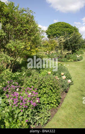 Bluebell Cottage Gardens, Inghilterra. Molla generale vista di Bluebell Cottage Gardens frontiere, arbusti e biancheria da letto. Foto Stock