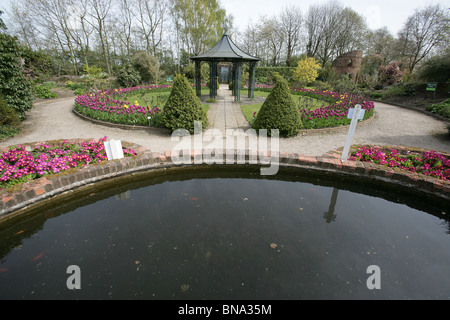 Vivaio Bridgemere & Mondo Giardino. Molla di vista Bridgemere's mostrano giardini con biancheria da letto primula piante in piena fioritura. Foto Stock