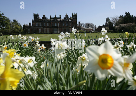 Capesthorne Hall, Inghilterra. Stagliano vista del Capesthorne Hall con narcisi al di fuori della messa a fuoco in primo piano. Foto Stock