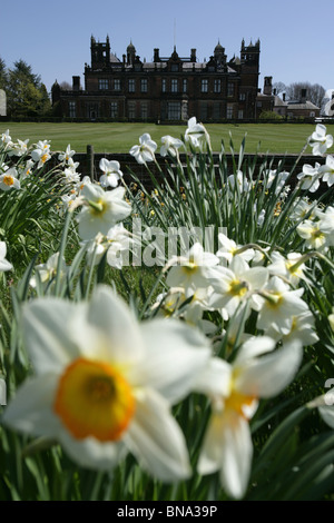 Capesthorne Hall, Inghilterra. Stagliano vista del Capesthorne Hall con narcisi al di fuori della messa a fuoco in primo piano. Foto Stock