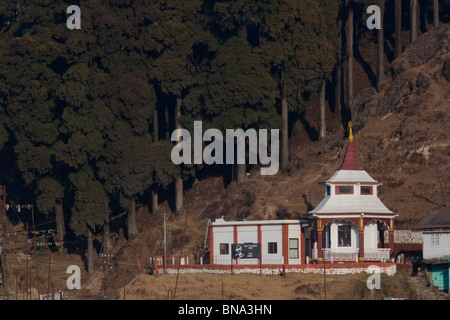 Un tempio immerso nella pineta nella città di 'Ghum' vicino a Darjeeling, West Bengal, India. Foto Stock