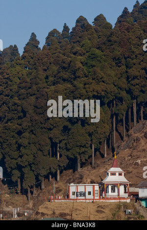 Un tempio immerso nella pineta nella città di 'Ghum' vicino a Darjeeling, West Bengal, India. Foto Stock