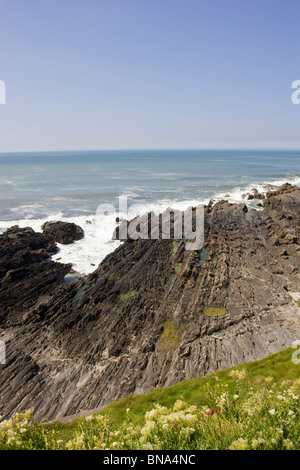 Punto larghi Croyde bay devon england Foto Stock