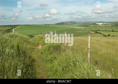 Il sentiero conduce intorno all'antica età del ferro hill fort di Cissbury Ring nel South Downs National Park. Foto Stock