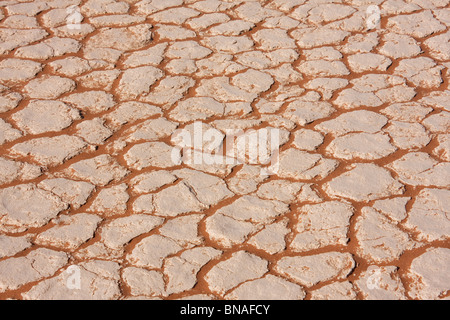 Il terreno asciutto in Sossusvlei, Namibia Foto Stock
