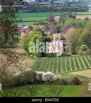 La Chiesa di Santa Maria Vergine a East Stoke in Stoke-sub Hamdon Somerset da Foto Stock