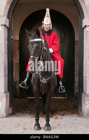 Membro della cavalleria della famiglia, vita delle guardie, Horse Guards, London, Regno Unito Foto Stock