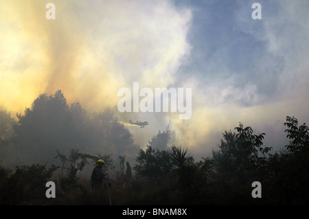 Un aria trattore A-802 velivoli antincendio gocce di ritardante del fuoco su una zona boscosa nella Galilea superiore a seguito di un razzo attacchi missilistici degli Hezbollah nel corso di Israele - Hezbullah guerra nel 2006 Foto Stock