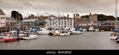 Regno Unito, Galles Gwynedd, Caernarfon, Victoria Dock, barche da diporto ormeggiata in porto, panoramica Foto Stock
