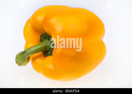 Peperone giallo isolato su bianco Foto Stock