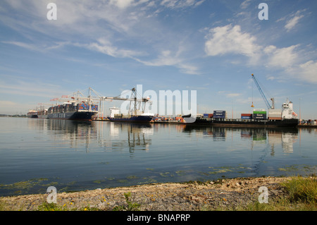 Le navi sulla banchina a DP World ABP Southampton England Regno Unito una grande porta in Inghilterra del sud Foto Stock