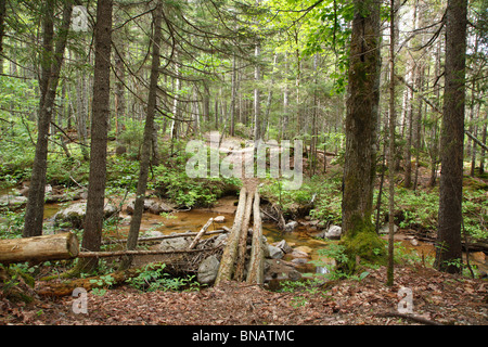 Pemigewasset deserto - piedi ponte lungo Nancy stagno il sentiero che attraversa la tacca Brook a Lincoln, New Hampshire USA. Foto Stock