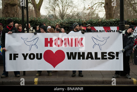 Anti-caccia alla balena gli attivisti da Sea Shepherd Conservation Society protesta all ambasciata giapponese di Londra Foto Stock