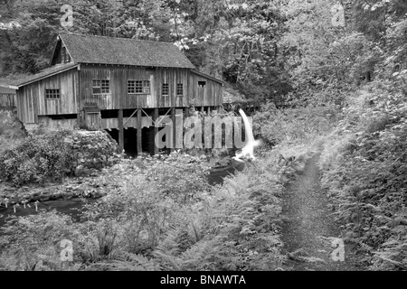 Il Cedar Creek Grist Mill in primavera con il percorso. Bosco, Washington Foto Stock