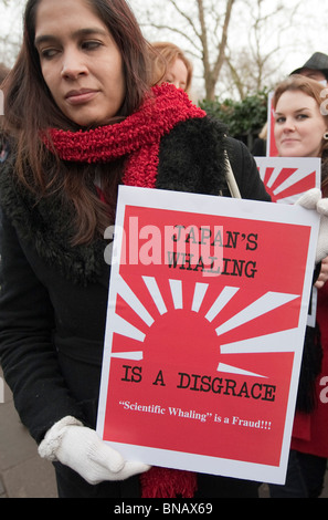 Anti-caccia alla balena gli attivisti da Sea Shepherd Conservation Society protesta all ambasciata giapponese di Londra Foto Stock