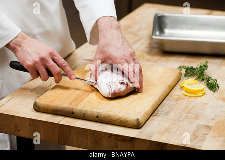 Lo chef maschio preparazione del pesce in cucina commerciale Foto Stock