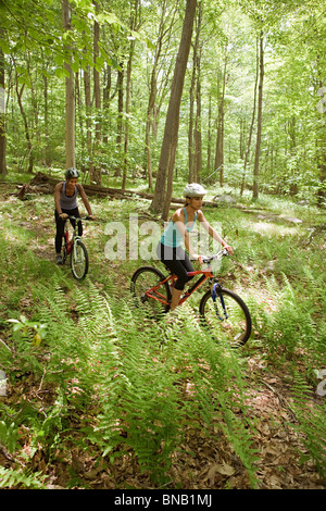 Due ciclisti femmina nella foresta Foto Stock