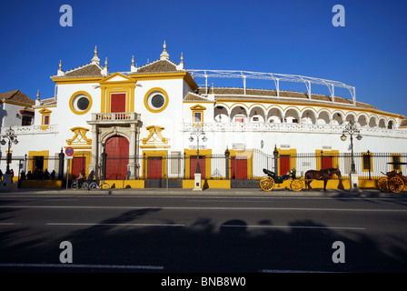 Carrozze trainate da cavalli al di fuori della corrida (La Maestranza), Siviglia, provincia di Siviglia, in Andalusia, Spagna, Europa occidentale. Foto Stock