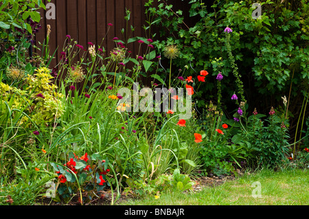 Fiore mista confine in inizio di estate in un giardino inglese Foto Stock
