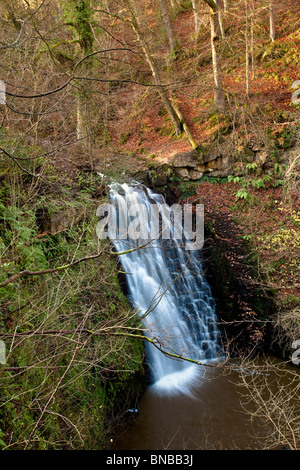 La caduta di Foss cascata all'inizio dell'inverno, può Beck vicino a Whitby, Nord Yortk Moors National Park Foto Stock