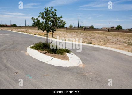 Incompiuta e abbandonata abitazioni sviluppi nell'area di Phoenix, in Arizona. Foto Stock