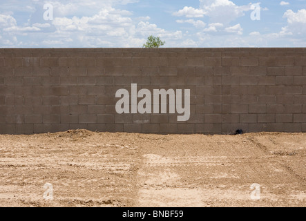 Incompiuta e abbandonata abitazioni sviluppi nell'area di Phoenix, in Arizona. Foto Stock