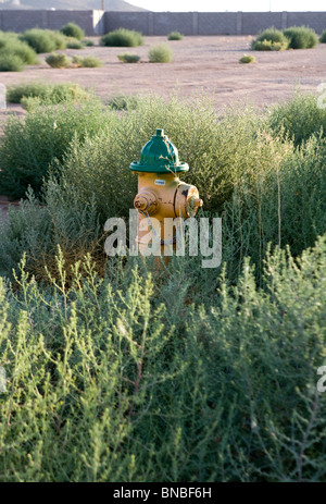 Incompiuta e abbandonata abitazioni sviluppi nell'area di Phoenix, in Arizona. Foto Stock