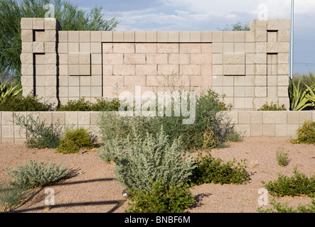 Incompiuta e abbandonata abitazioni sviluppi nell'area di Phoenix, in Arizona. Foto Stock