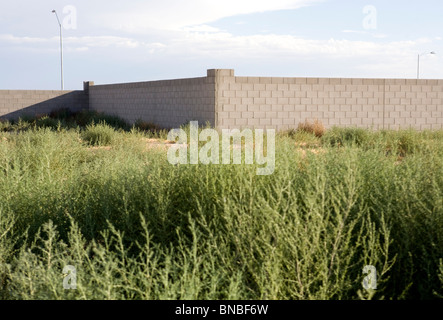 Incompiuta e abbandonata abitazioni sviluppi nell'area di Phoenix, in Arizona. Foto Stock