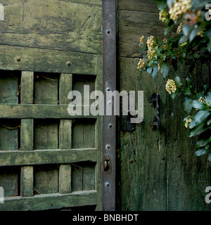 Porta in legno rustico con finiture verdi e fogliame in fiore, che invitano a dare uno sguardo al fascino della natura Foto Stock