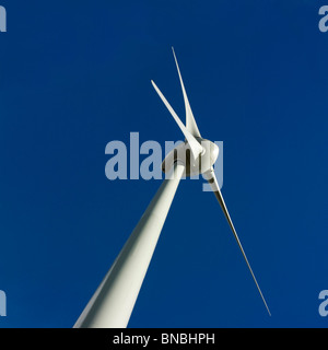 Turbina eolica dettaglio Foto Stock