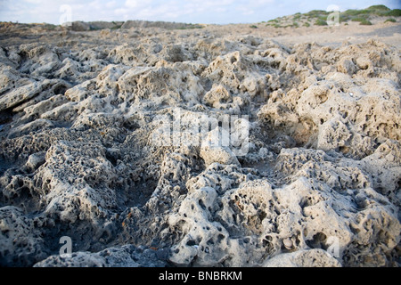 Le formazioni rocciose / erosione a Dor Beach - Israele Foto Stock