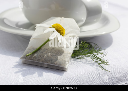 Teetasse mit Aufgussbeutel Kamillentee, Matricaria chamomilla Foto Stock