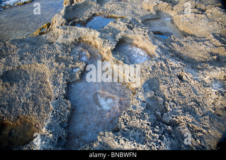 Le formazioni rocciose / erosione a Dor Beach - Israele Foto Stock