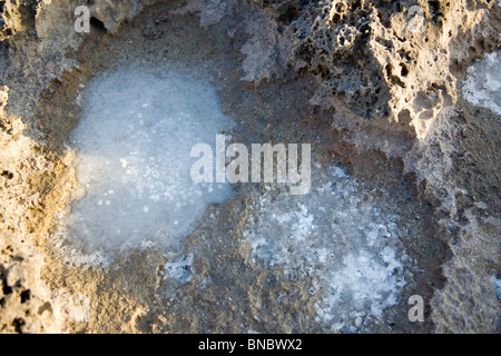 Le formazioni rocciose / erosione a Dor Beach - Israele Foto Stock