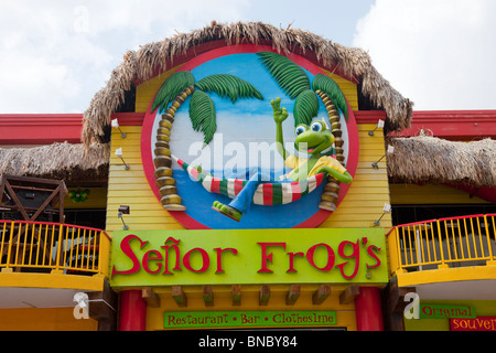 Il famoso Senor Frogs ristorante e pub in Oranjestad, Aruba, Antille olandesi. Foto Stock