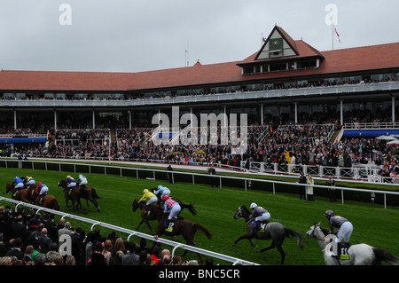 Onorevoli giorno a Chester Races Foto Stock